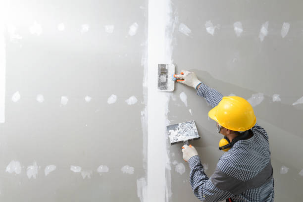 Professional Mold Removal in Woodinville, WA